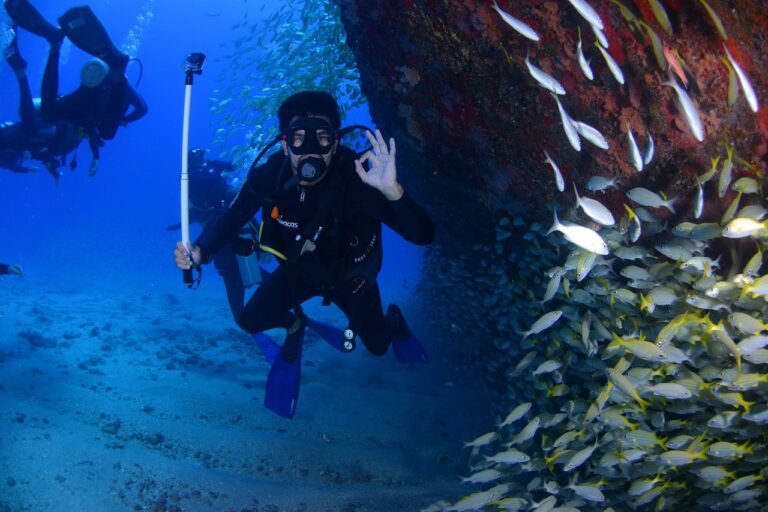 Ultimate Guide to Diving with Kids in Thailand: Fun & Safety