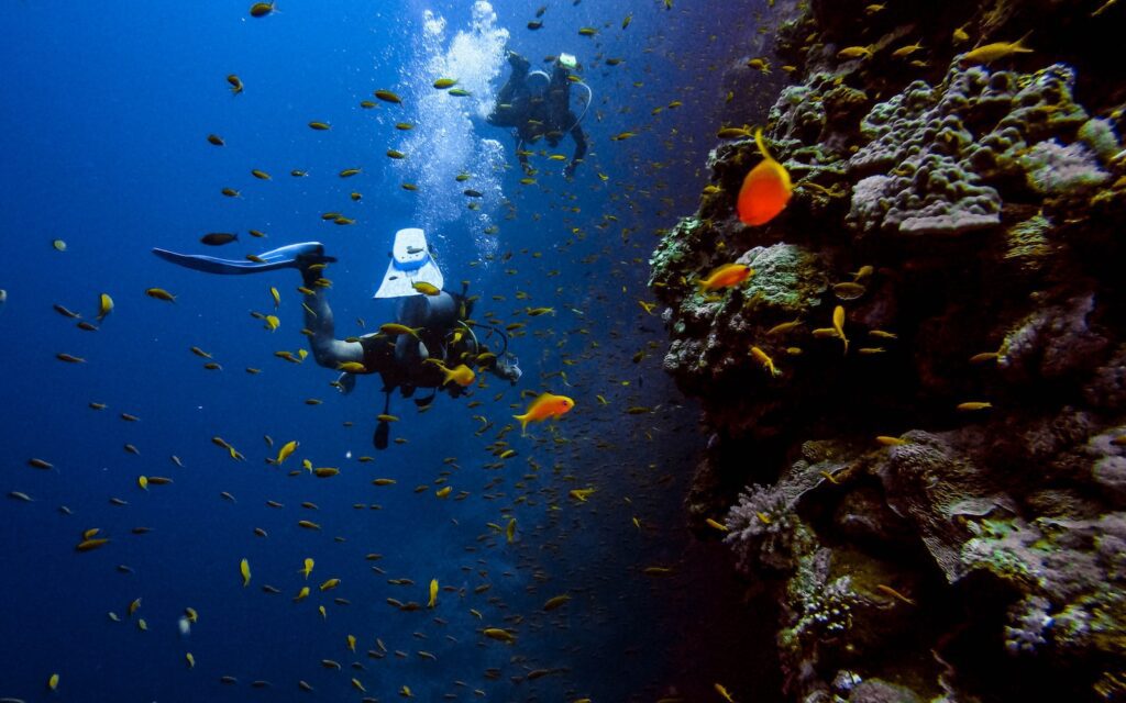 Ultimate guide to diving with kids in Thailand