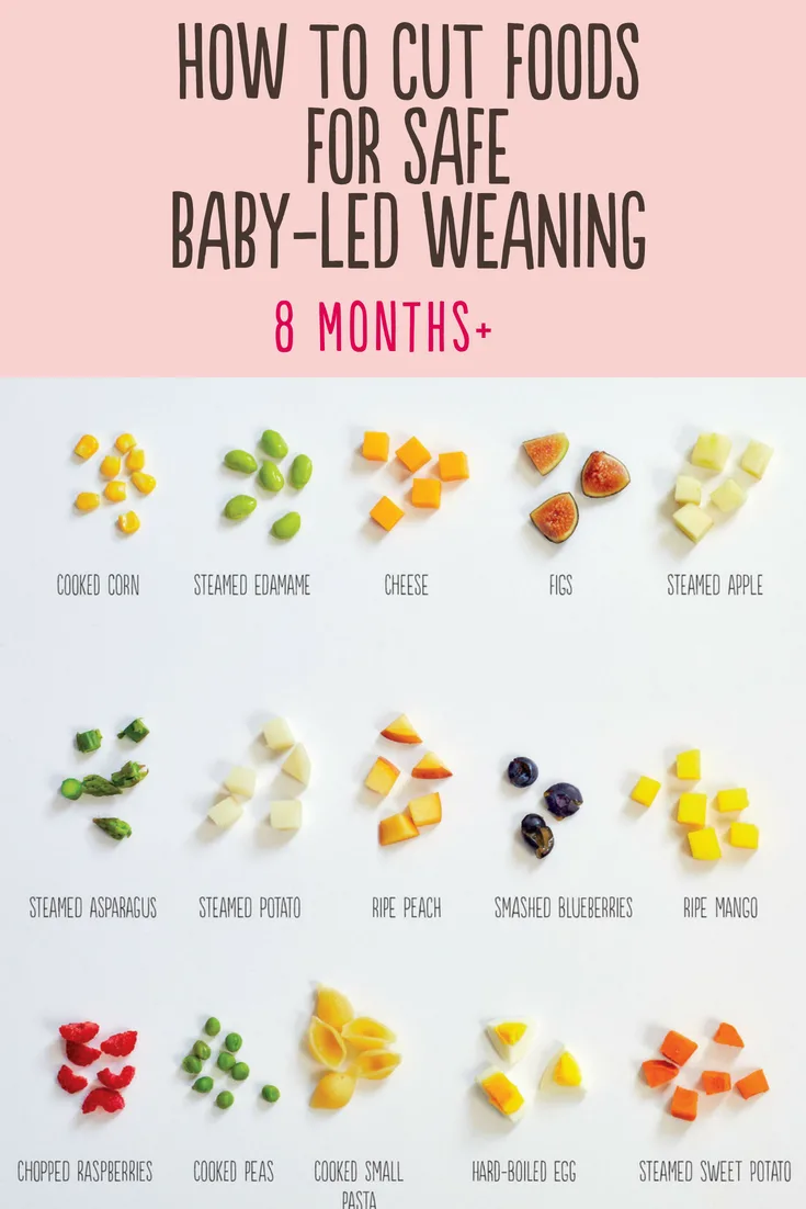 BLW foods feeding 8 months