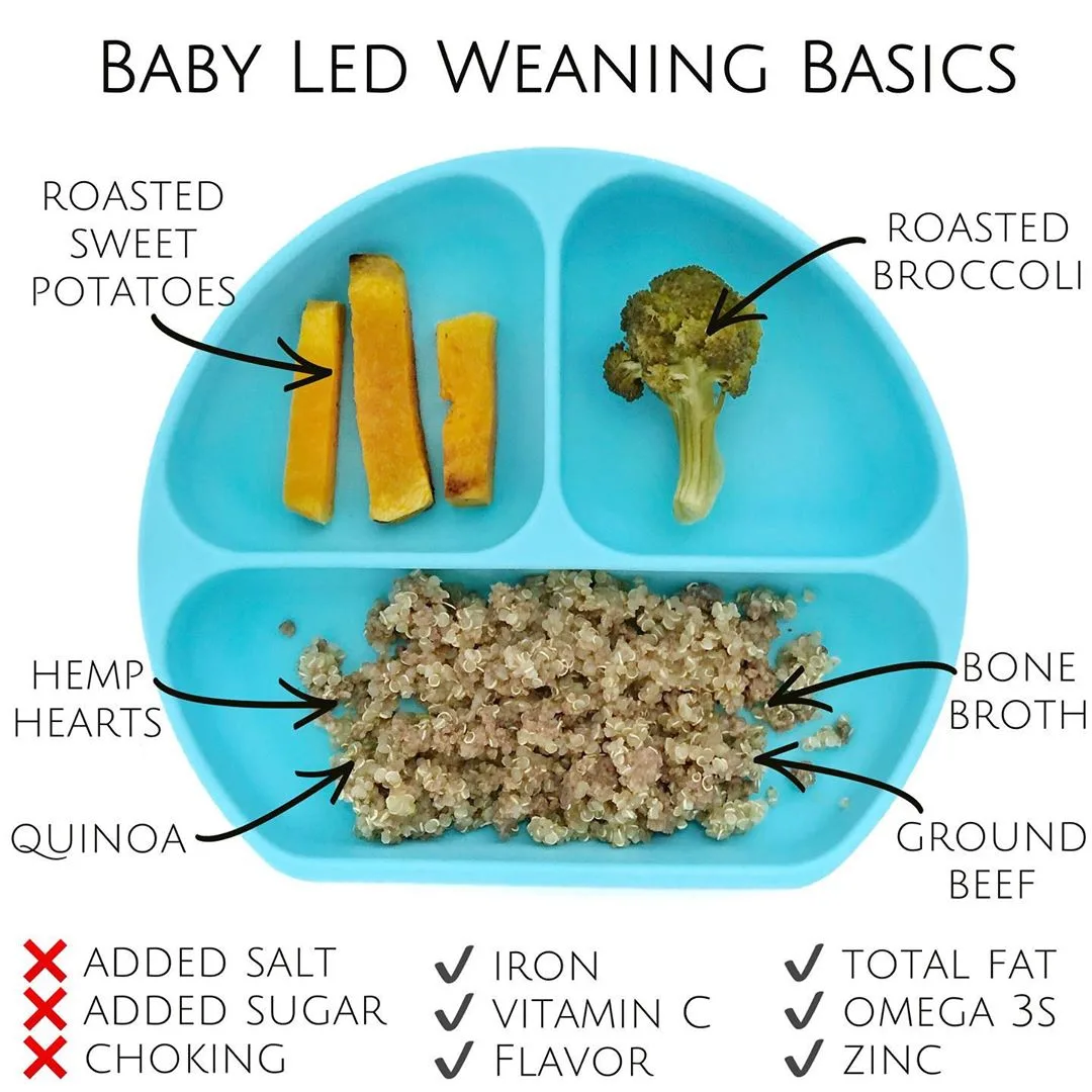 BLW foods safe